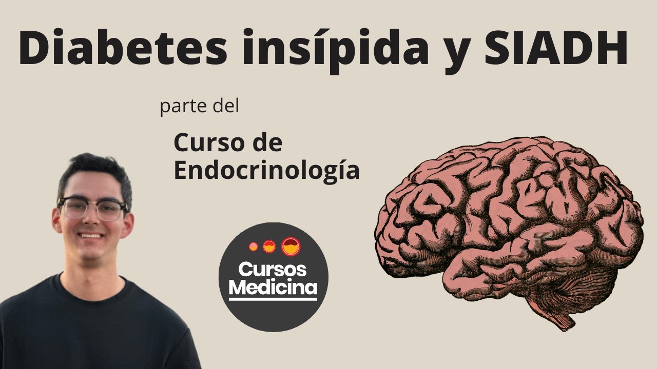 Diabetes Insípida y SIADH - Enfermedades de la Pituitaria 3