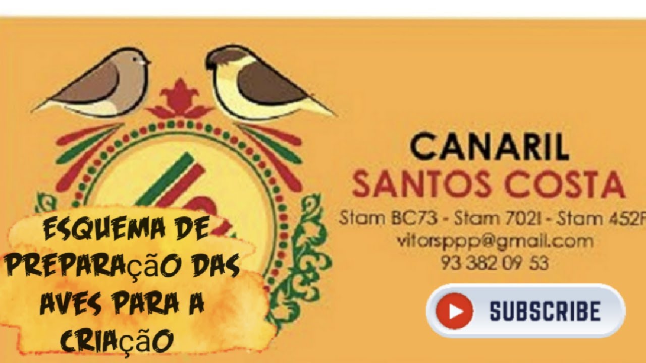 Esquema de preparação das aves para criação