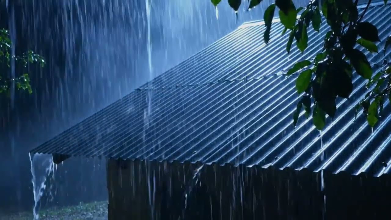 Heavy Rain on Metal Roof at Night 🌧️ Cozy Rain Sounds for Deep Sleep, Relaxing & Study Ambience