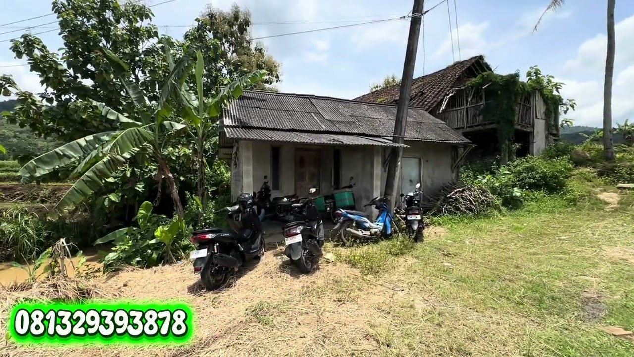 Rumah plus bekas kandang ayam view persawahan