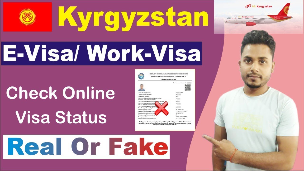 kyrgyzstan e visa check by passport number || कजाकिस्तान वीजा स्टेटस कैसे चेक करें