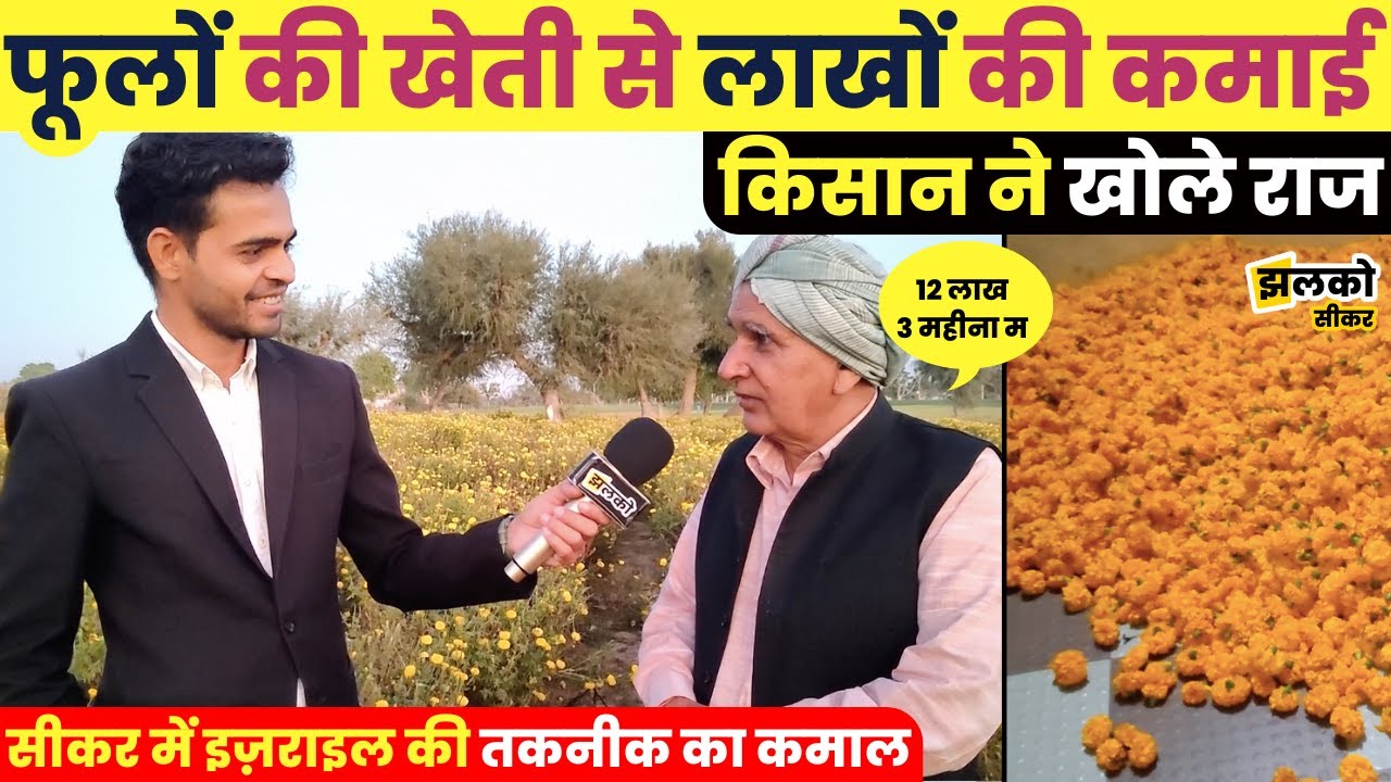 सीकर में इज़राइल की तकनीक के कमाल से किसान ने कमाए फूलों से लाखों, देखें कैसे ~ Sikar News