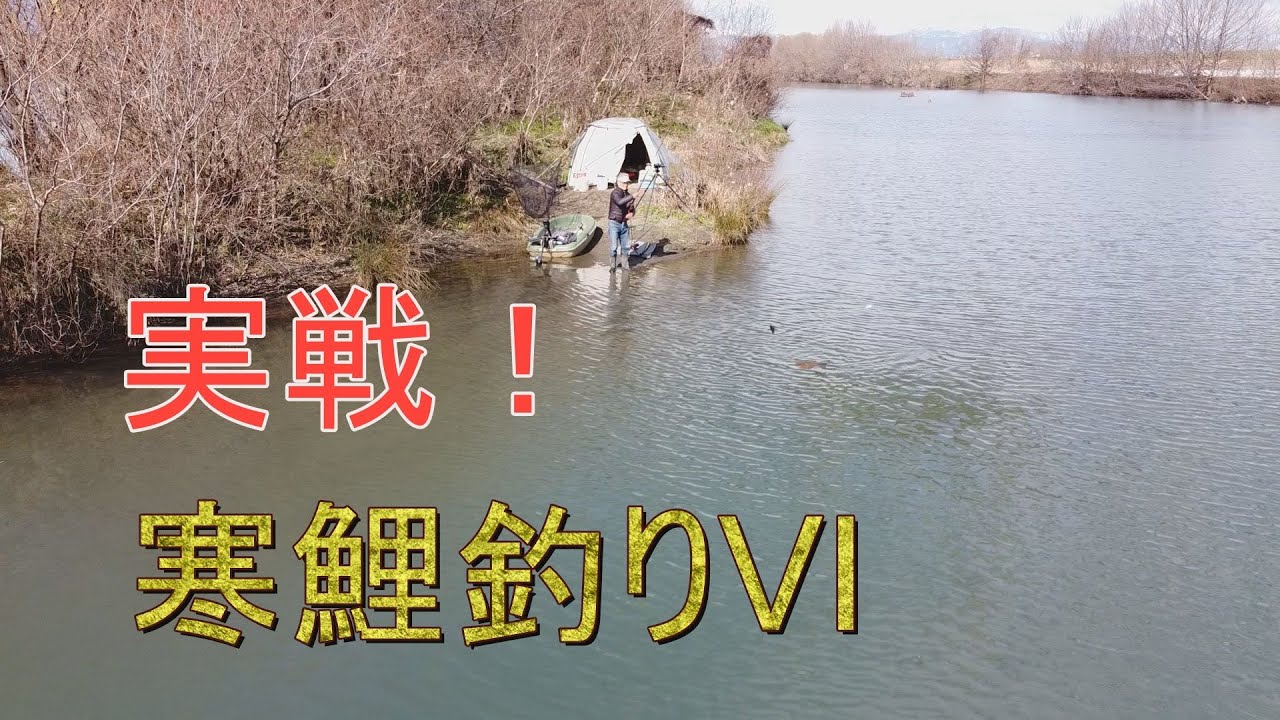 実戦・寒鯉釣り6