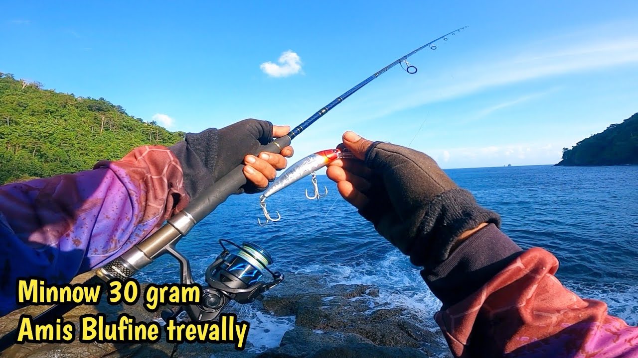 Mancing pinggiran pakai umpan minnow 30 gram sukses dapat Blufine trevally || Shore jigging 