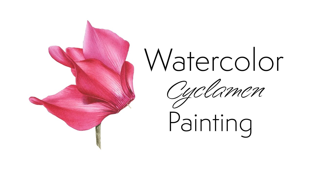Relaxing Watercolor Painting of Cyclamen Flower 🌸  Paint with me  🌺 Pink Flower