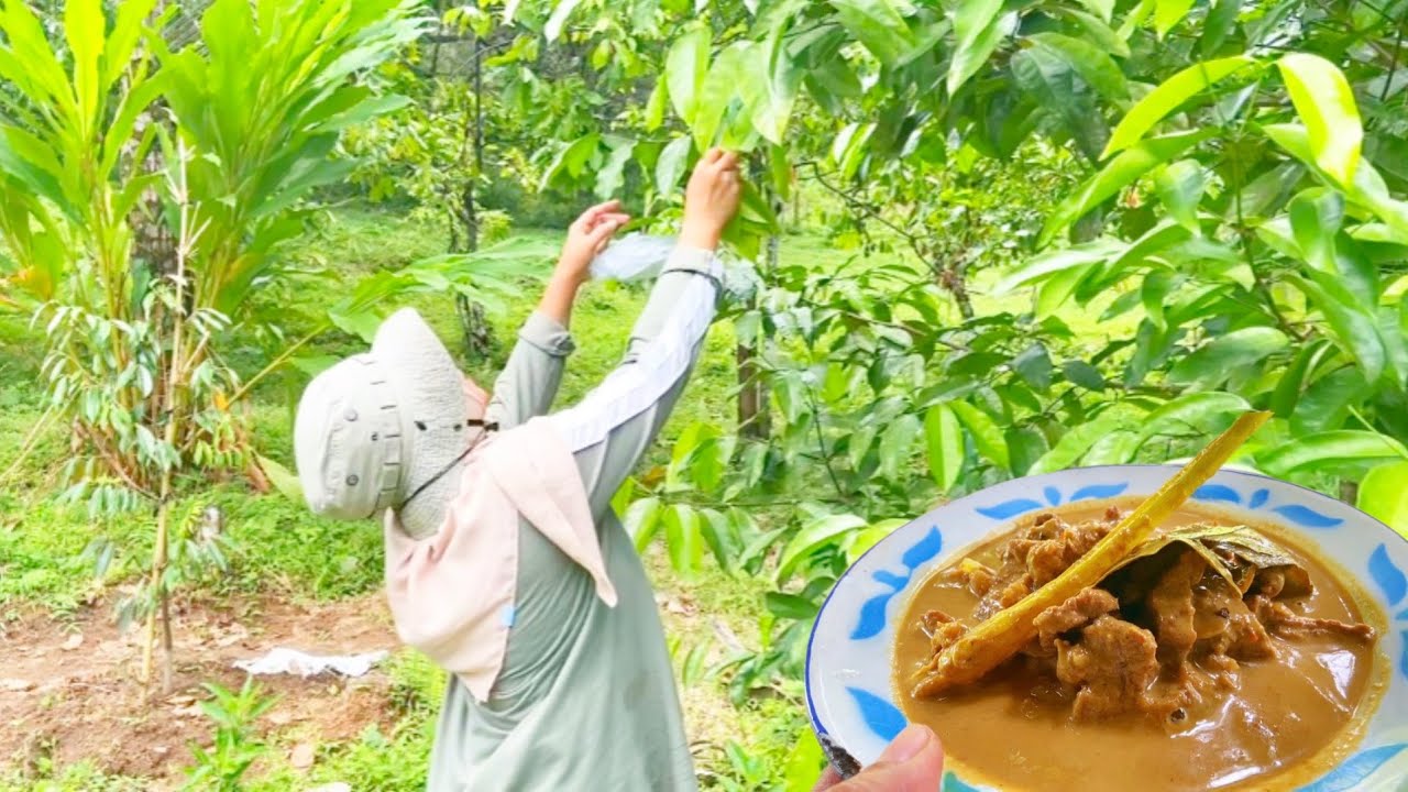 MASAKAN KHAS SASAK LOMBOK || GULE LEMAK DAGING SAPI🥩 🐮