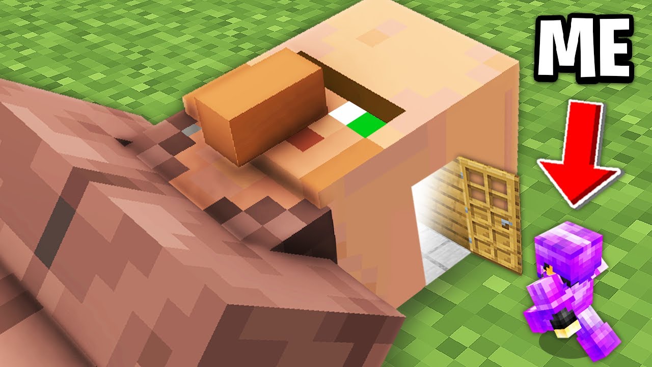 Minecraft, But What's Inside This Mob?