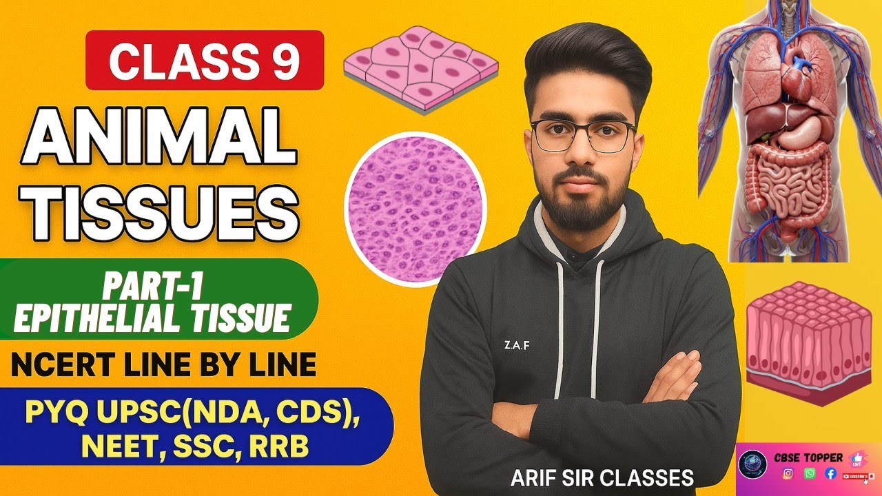Epithelial tissue class 9 NCERT for UPSC (NDA, CDS) NEET,SSC,RRB and others competitive exam#ncert