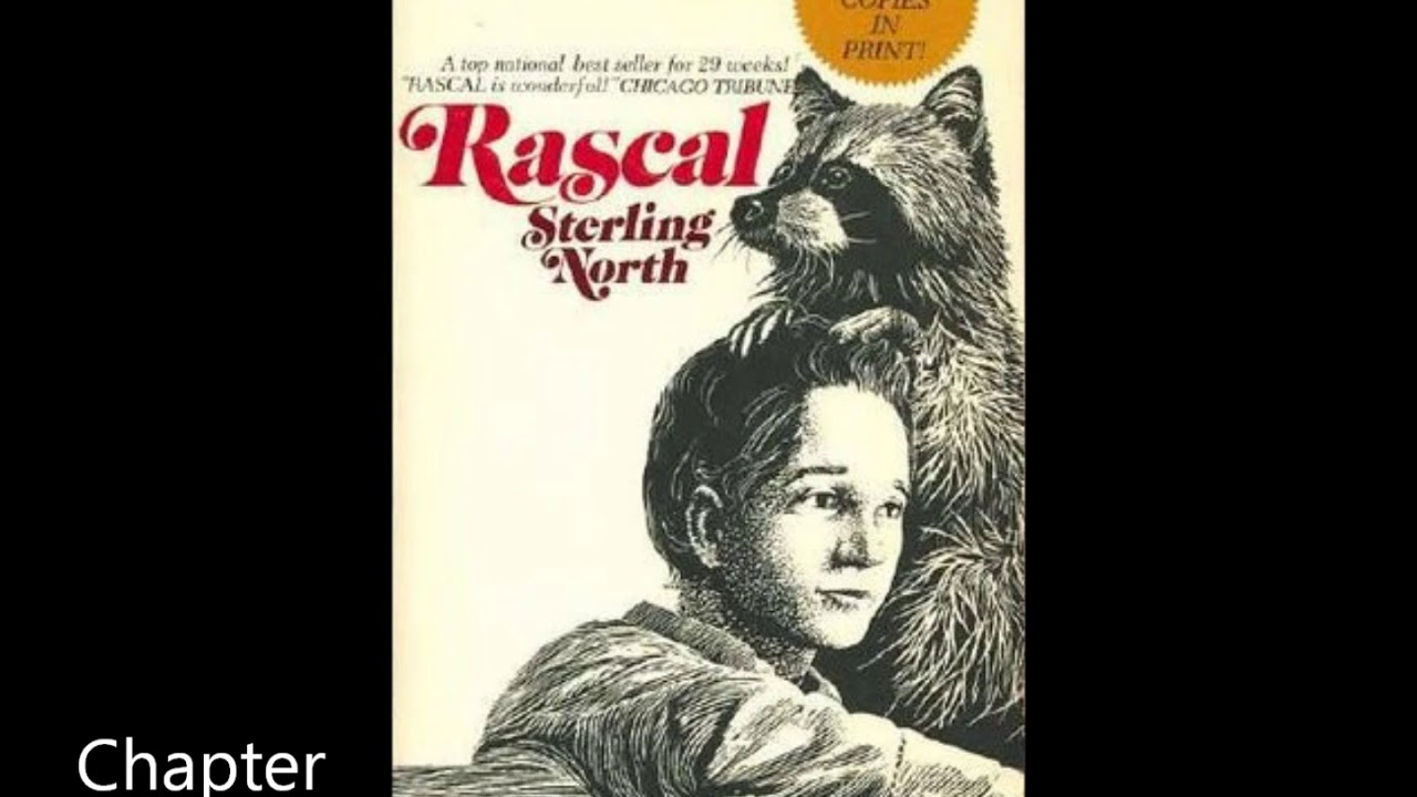 Rascal chapter 2b