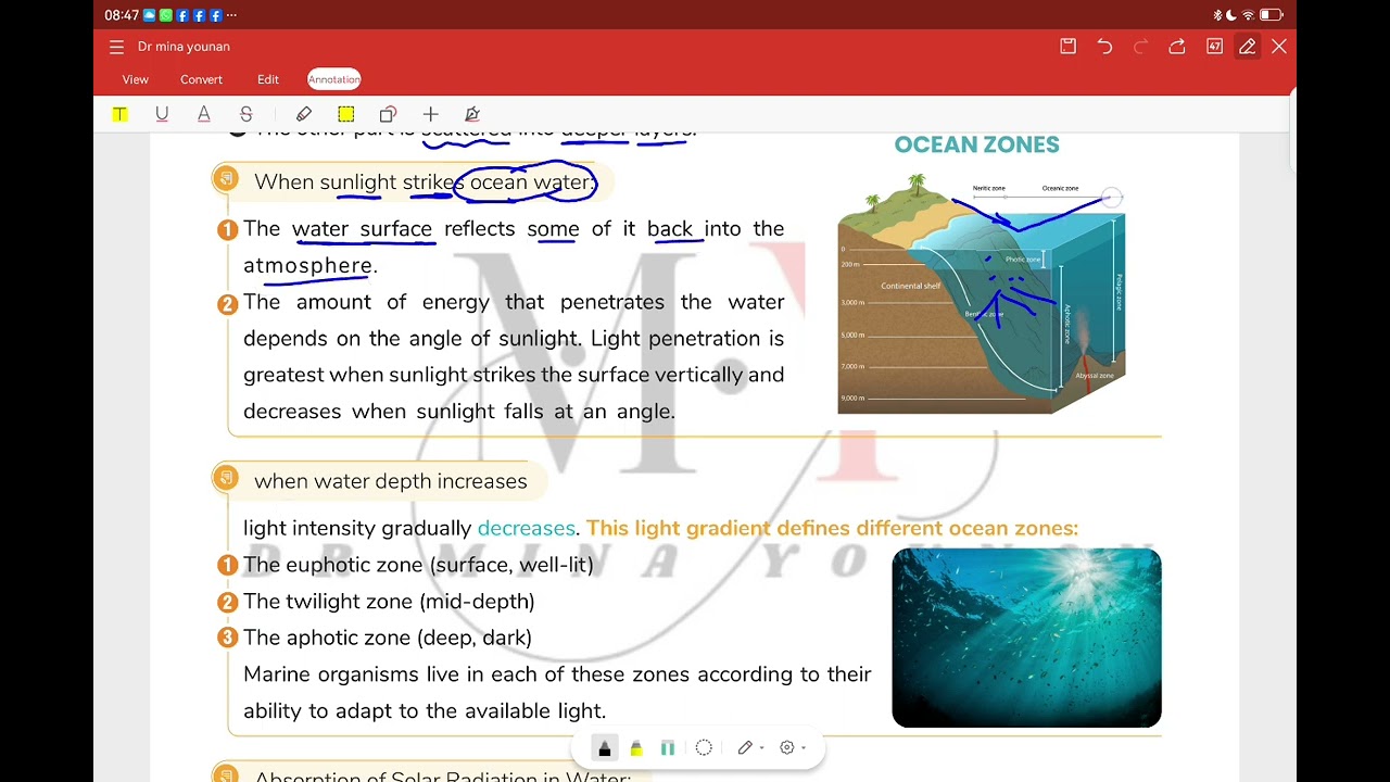  Integrated science senior one Unit one lesson eight revision