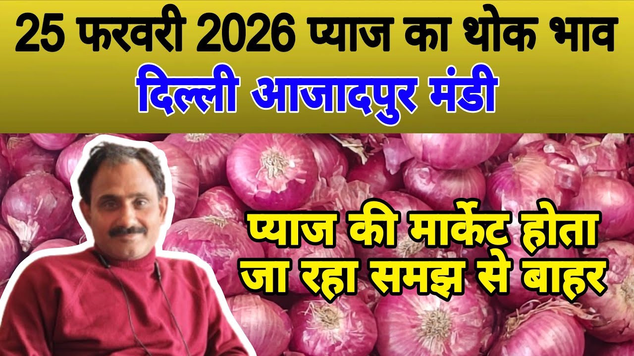 प्याज की मार्केट होता जा रहा समझ से बाहर | Today onion price | pyaj ka bhav #onionrate #pyaj #onion