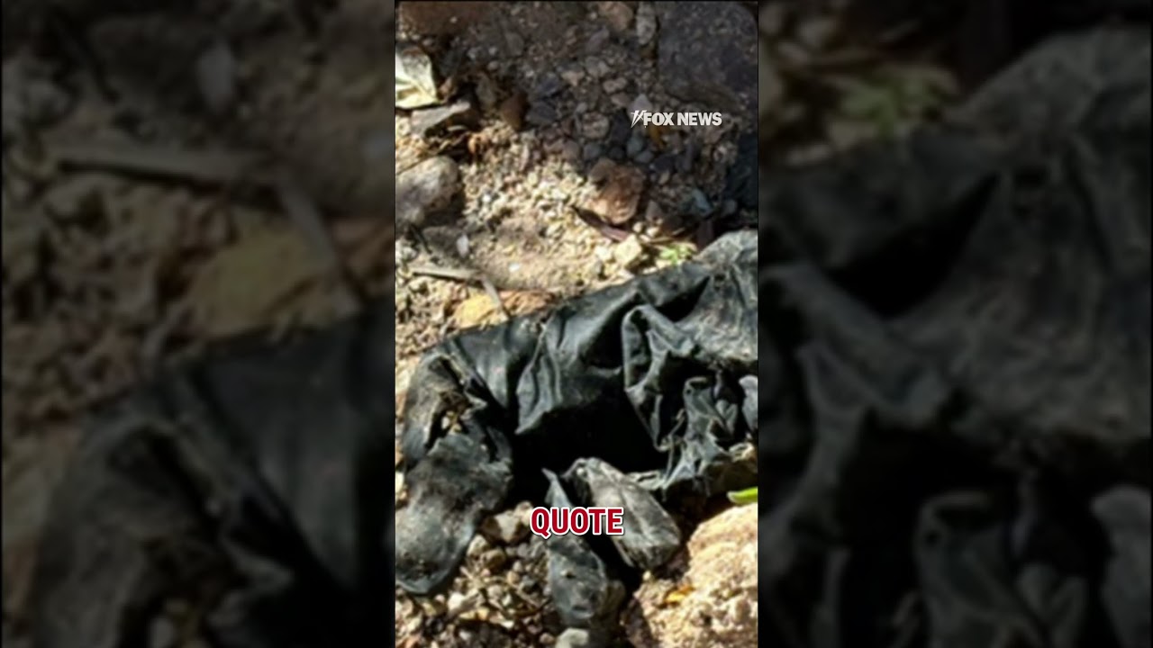 DNA match found on gloves near Guthrie home #shorts #foxnews #us #crime