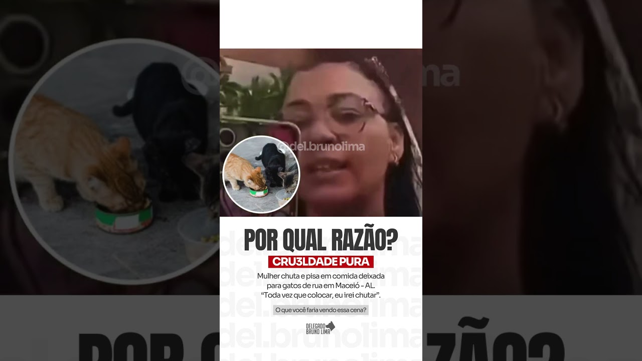 Revolta! mulher &eacute; flagrada chutando e pisando na comida deixada para gatos de rua 😡