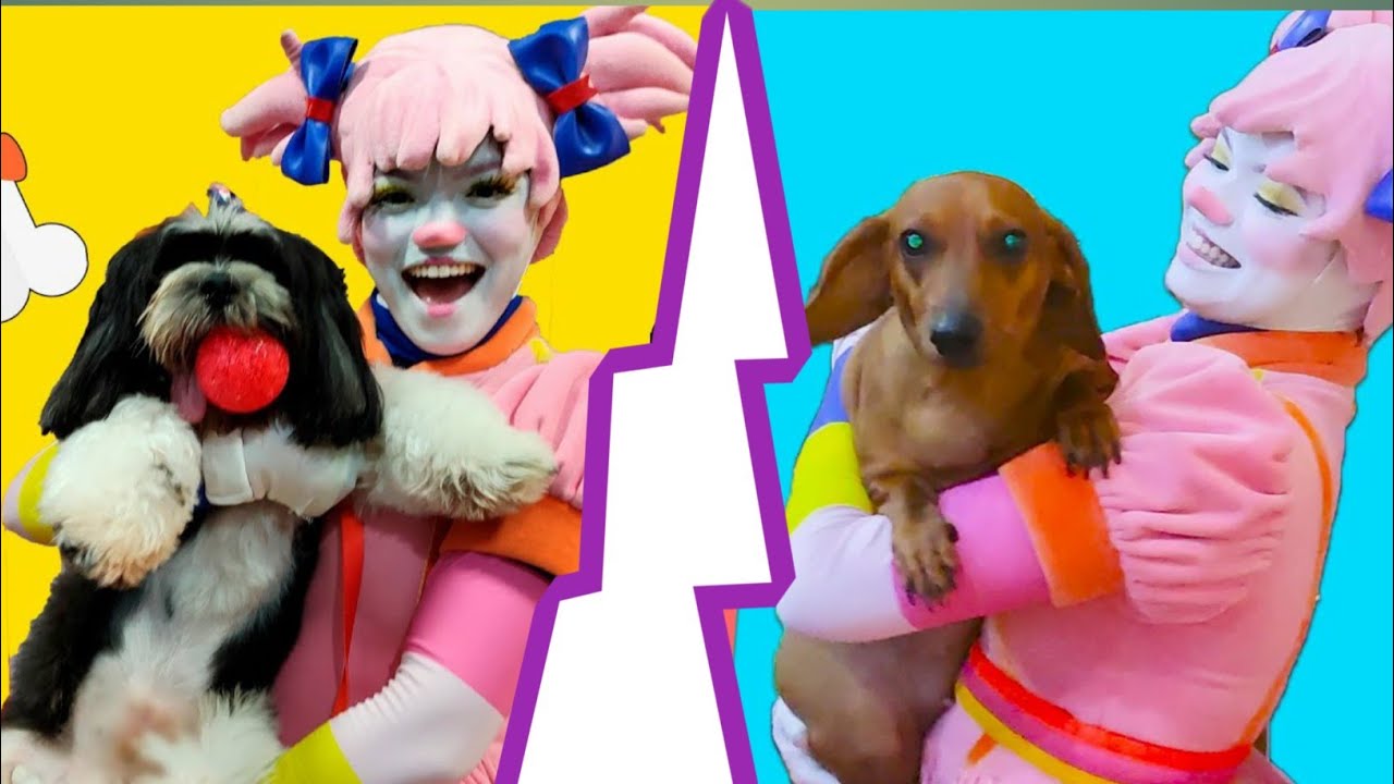 Pepita e as Melhores REGRAS DE CONDUTA para PETs | Turma da Pakaraka