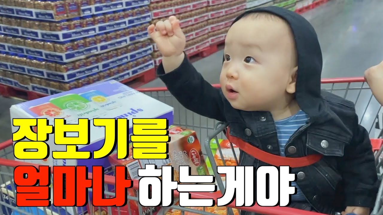마트장보기 (모음집) 🇺🇸 우리 같이 장 봐요 🤑 코스트코 추천상품 l 미국물가 l 한달식비 l 코스트코 세일상품 l 역대급 엥겔지수