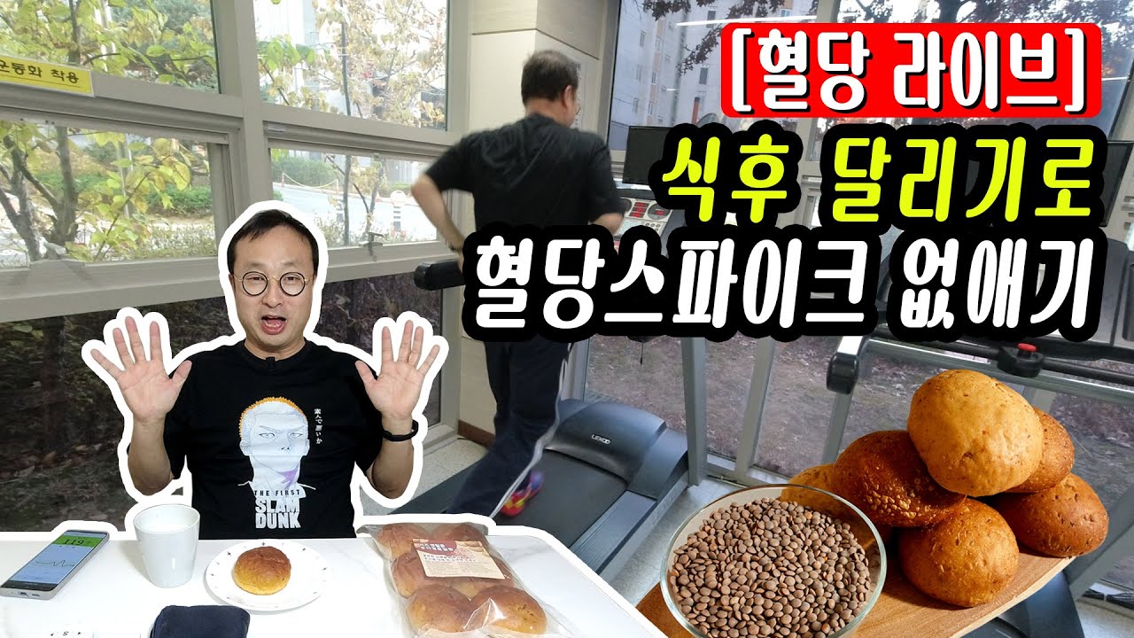 연속혈당측정기 혈당라이브 렌틸 통밀빵 먹고 달리기 걷기 유산소 운동으로 혈당스파이크 없애기 생로병사의 비밀