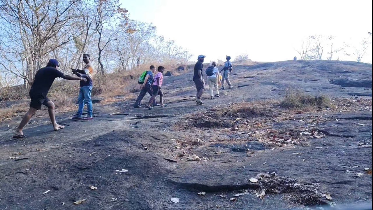🌿 Exploring the Forest Near Knacheri Durgadevi Temple 🌿