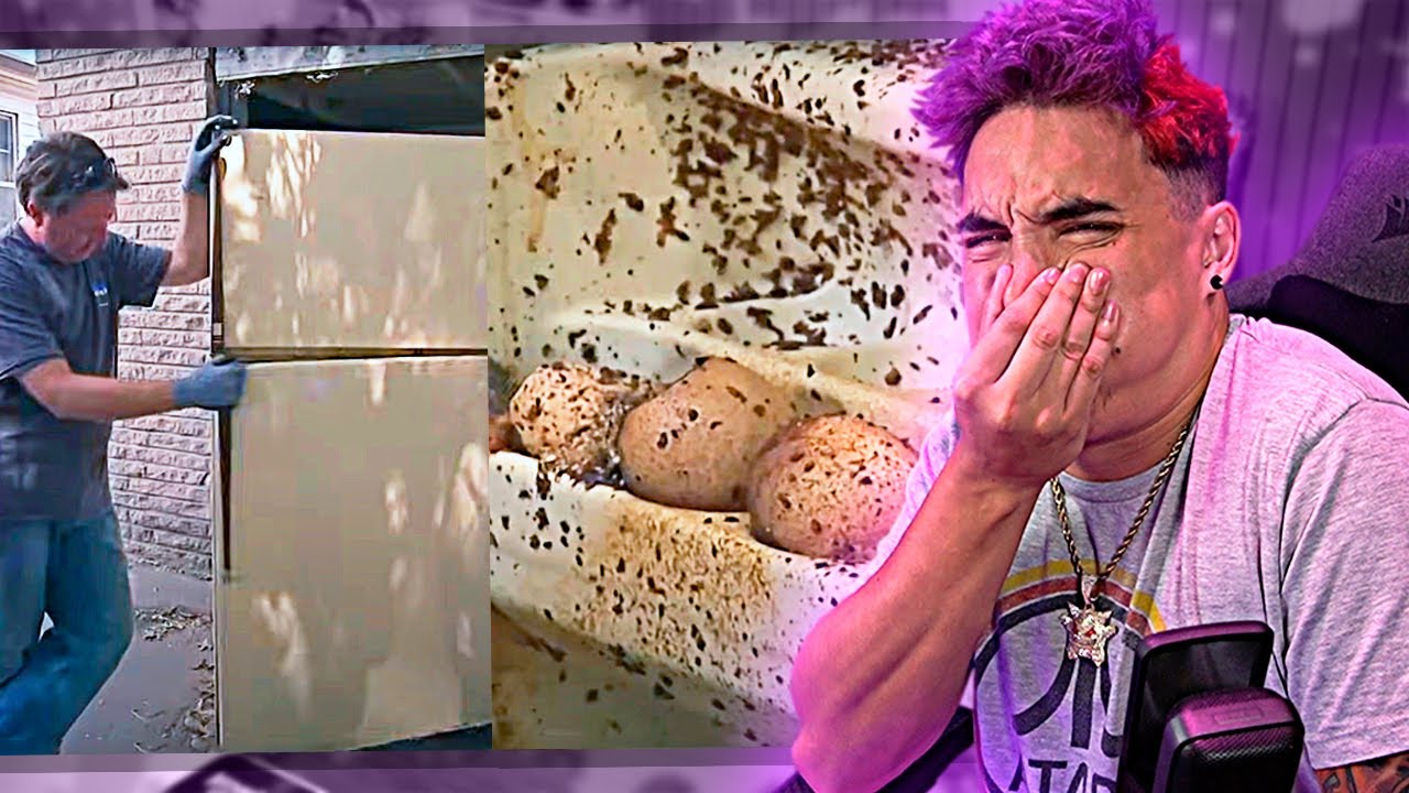 ACUMULADORES COMPULSIVOS, HUEVOS PODRIDOS 🤮