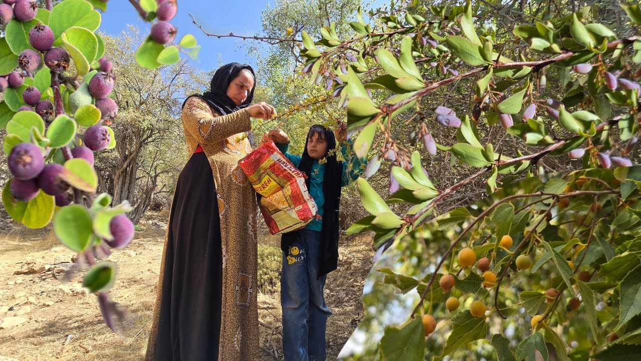 Village Life: Picking Wild Fruits in the Mountain 🍇 | Secret of Nature 🌄