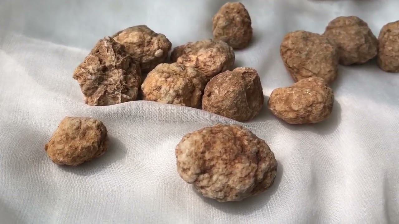 Rattle Stone