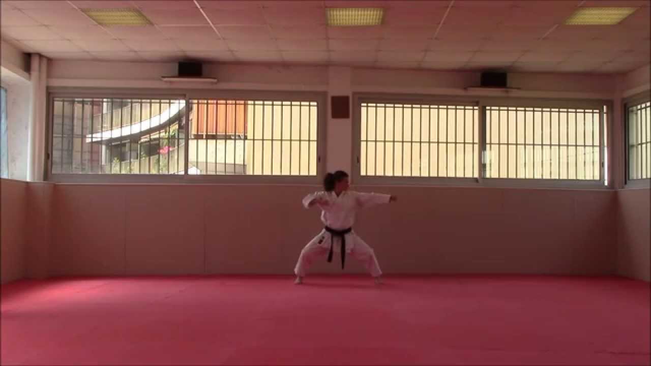 Jion - Karate Training Sonia Fiuza