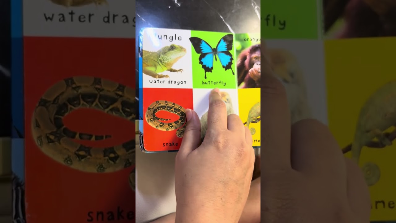 First 100 Animals - read with Queenie