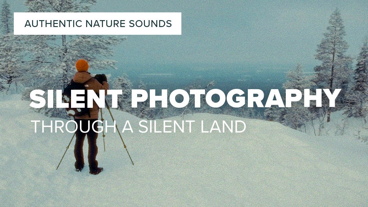 Exploring the Wilderness of Finland through VINTAGE FILM LOOK | Calming authentic nature sounds