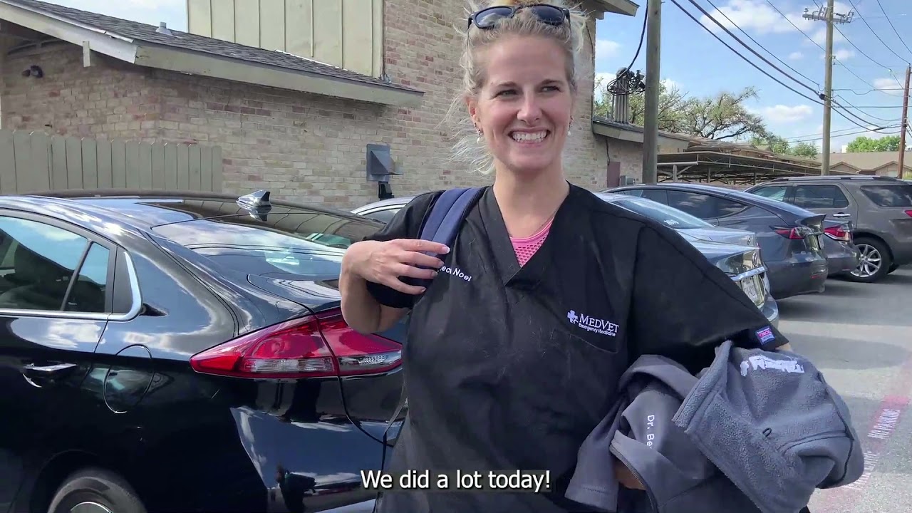 A Day In The Life at MedVet