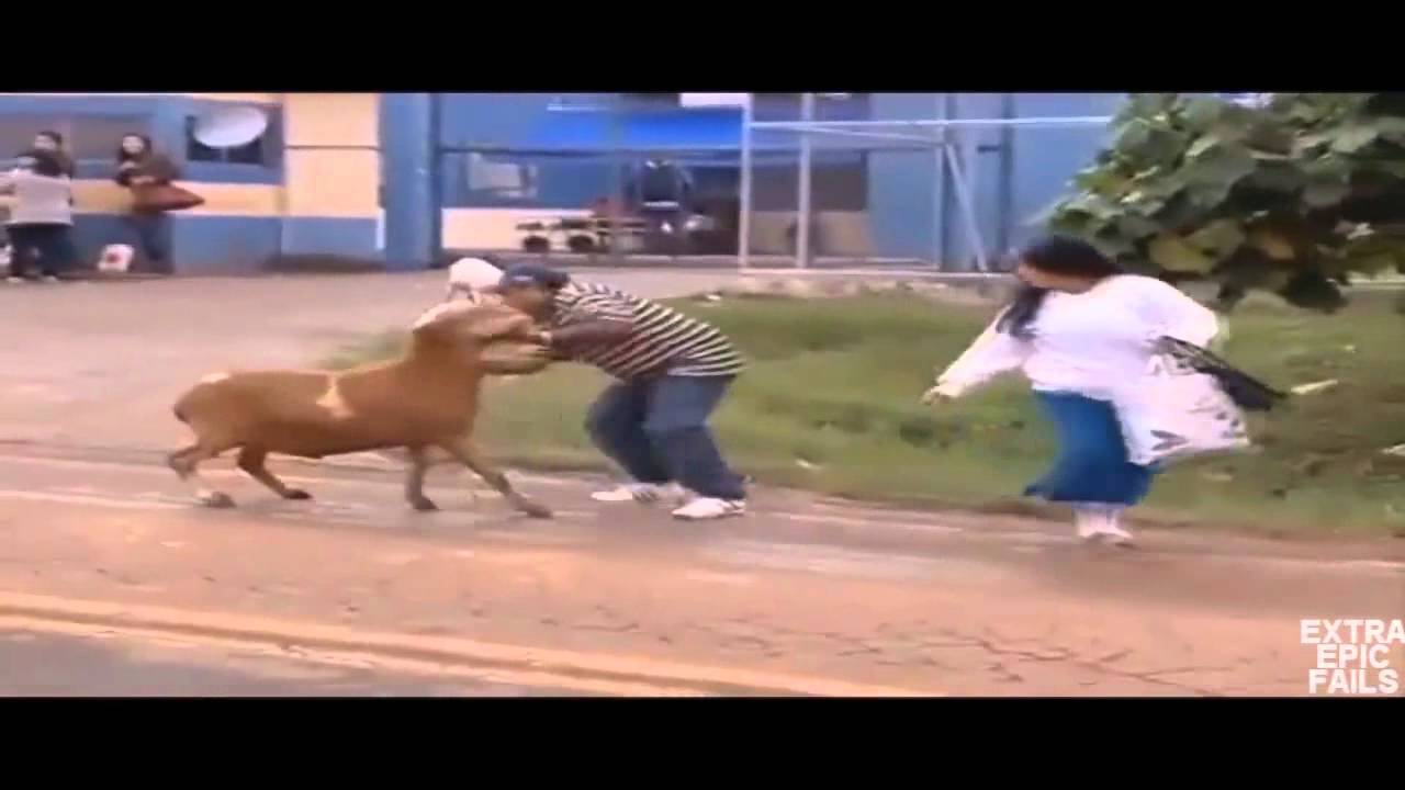 NEW Ultimate Fail/Win Compilation 2013 (HD) May
