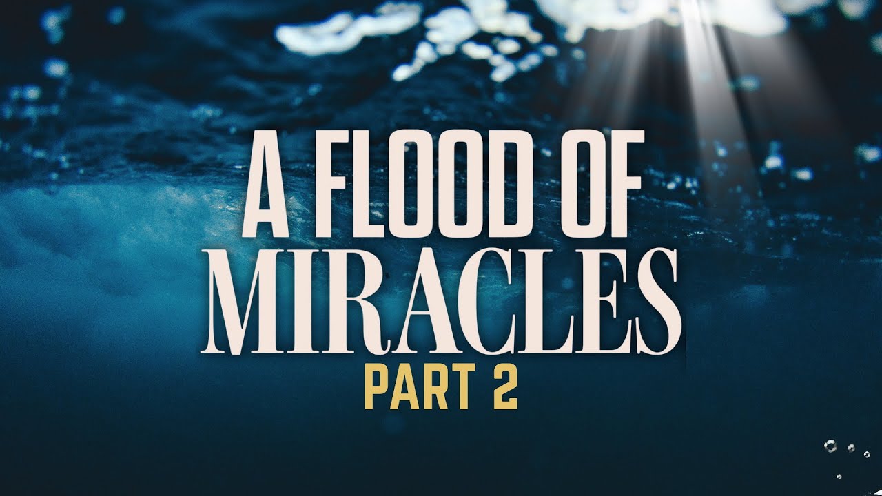 A FLOOD OF MIRACLES PART 2 | PS ANDRIES VERMEULEN | 25 JANUARY 2026