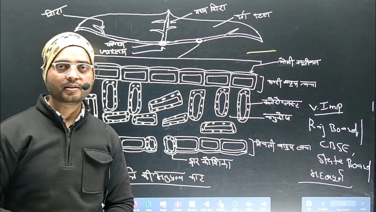 Structure of leaf | class 10th | ncert | rbse | cbse | state board