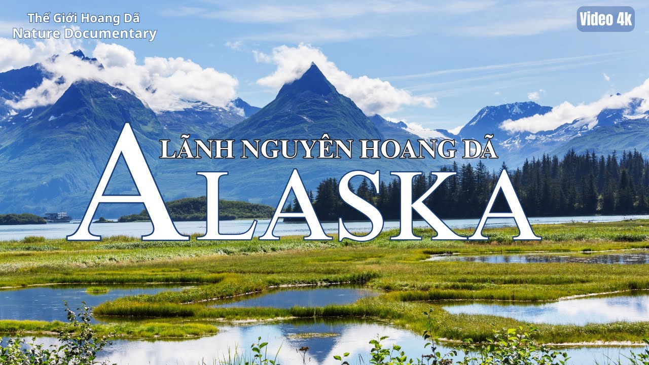 Alaska Hoang Dã – Vùng Đất Lãnh Nguyên Bất Tận | #alaska #thegioidongvat
