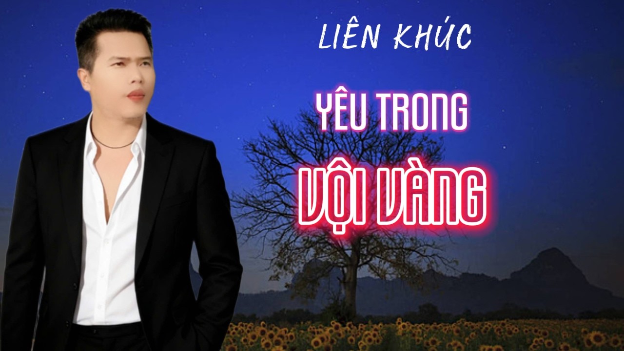 LK Yêu Trong Vội Vàng | Vũ Duy Long ( Nghe cuốn quá )