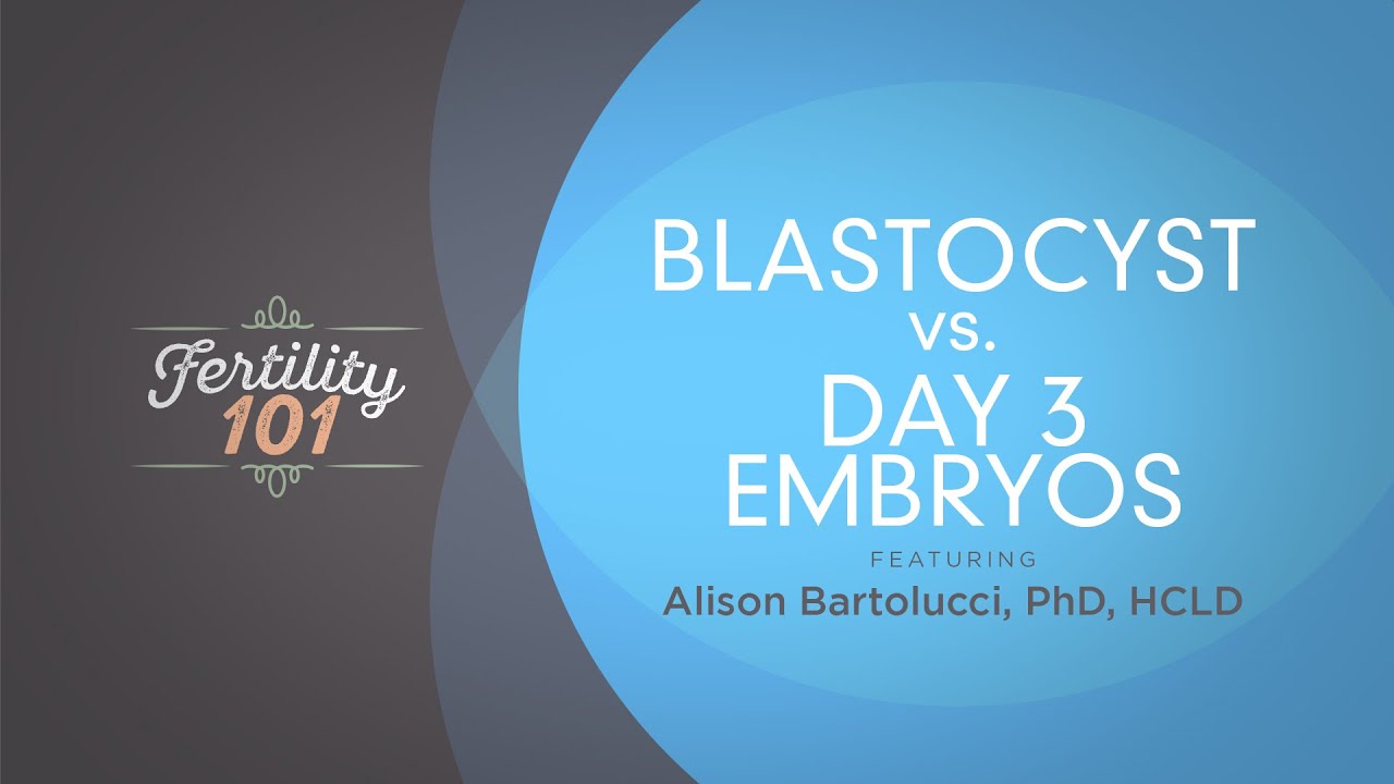 Blastocyst Vs. Day 3 Embryos
