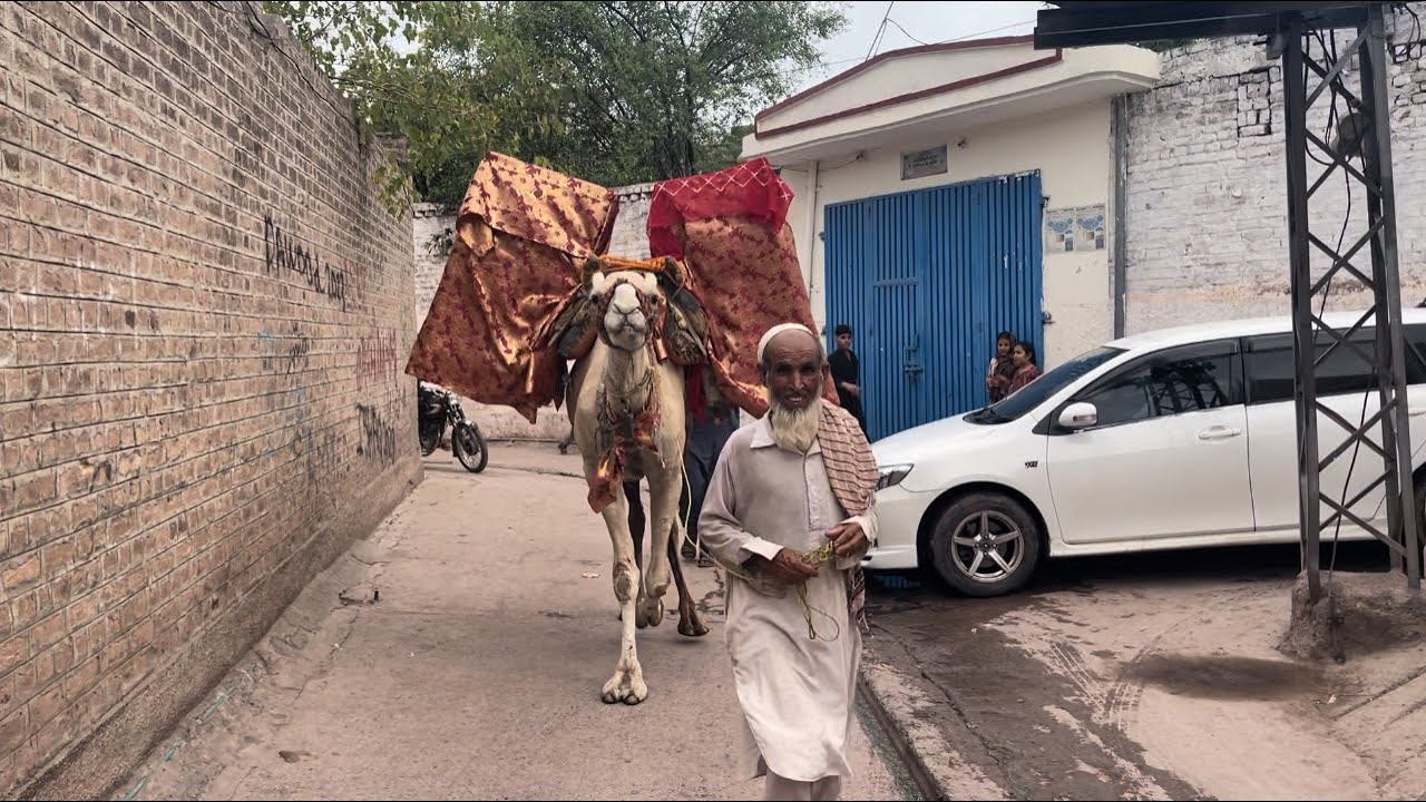 Saleh Khana Kotli Kalan Street Vlog 🇵🇰❤️|| Village Life || Haider Said Vlogs ||