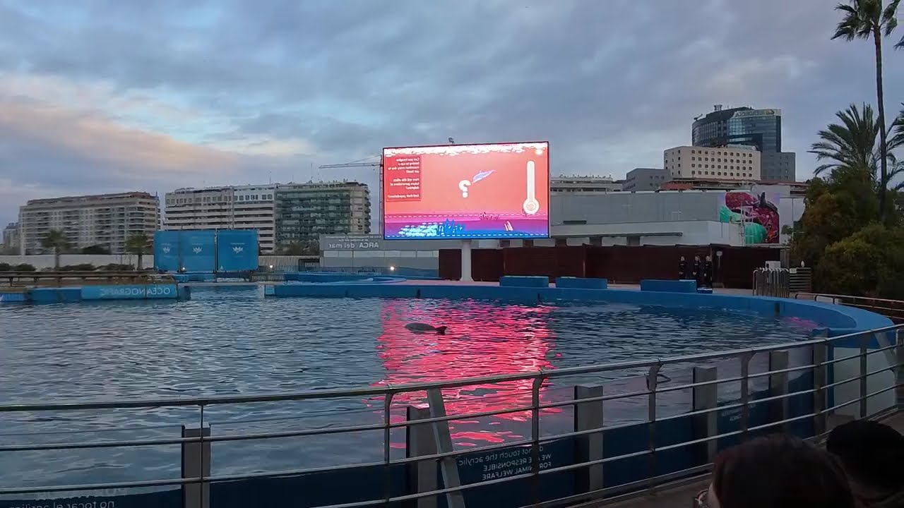 YO要去哪玩，全歐最大水族館，就在西班牙