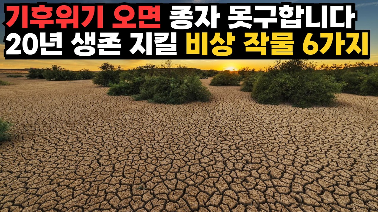 식량위기, 물가폭등 전 확보해야할 생존작물 TOP 6