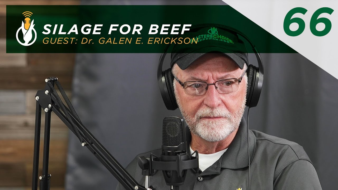 Silage For Beef | MC Podcast 66