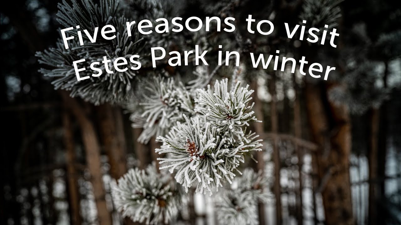 5 Reasons to Visit Estes Park in Winter
