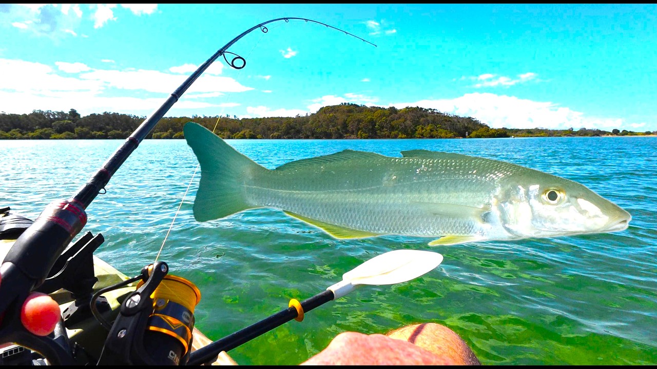 WINTER WHITING FISHING: Beginner Tips Using Yabbies