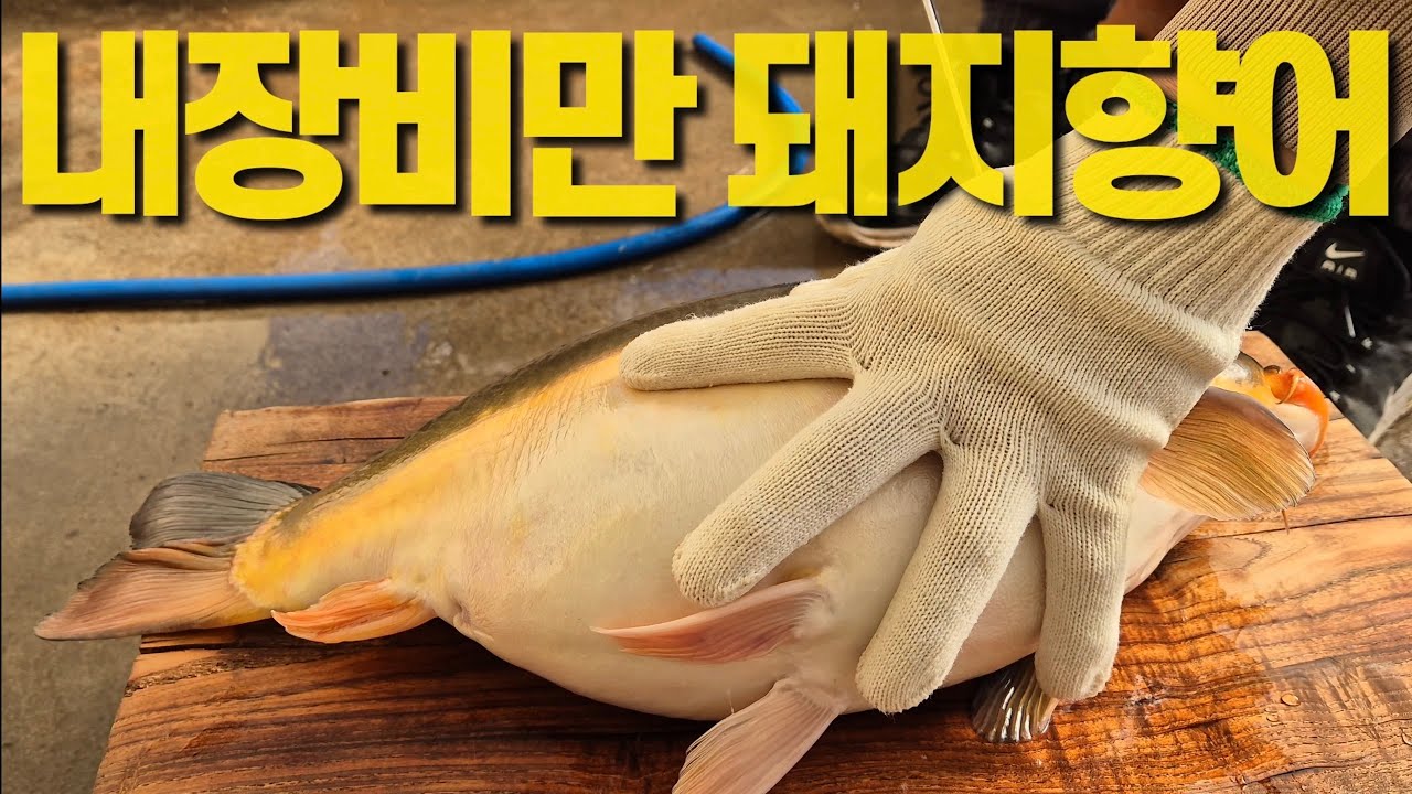 마당에서 갓 뜬 향어회에 소주 한잔, 이게 진짜 낭만이죠
