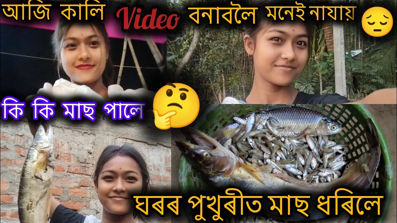ঘৰৰ পুখুৰীত মাছ ধৰিলে 🐟🐟//কি কি মাছ পালে 🤔?#viral #vlog #fishing #funny 