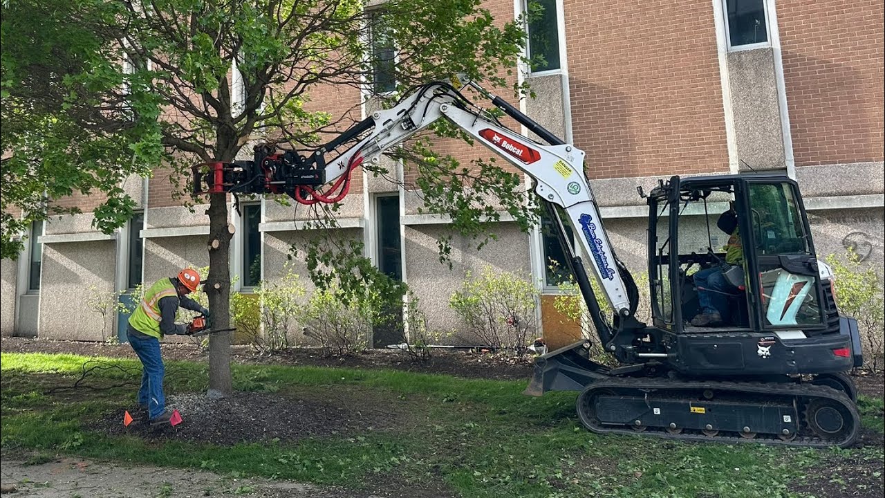 Efficient Tree Removal with a Roto Tilt on Bobcat E60 and Wood Chipper in Action!
