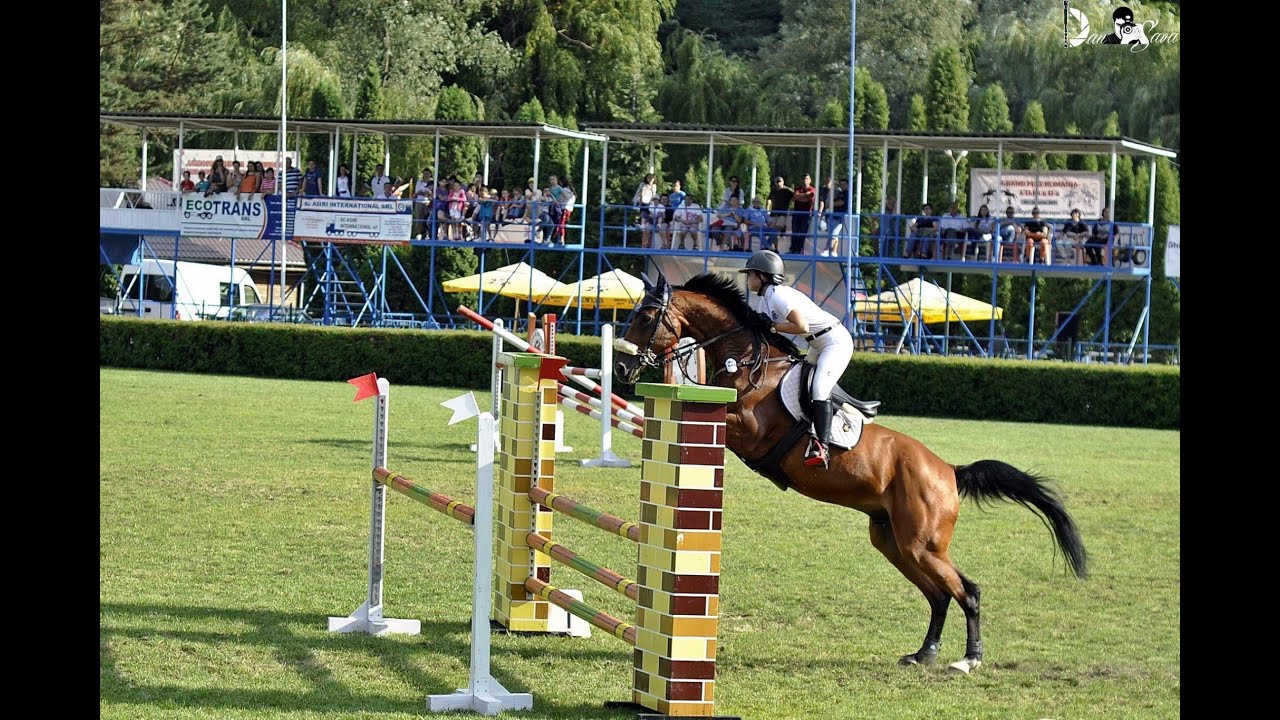 CONCURS INTERNAȚIONAL DE SĂRITURI PESTE OBSTACOLE