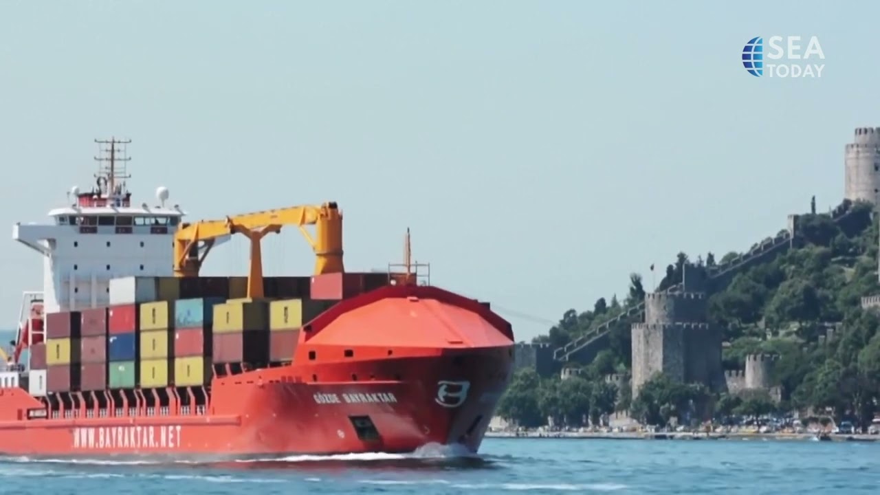 UN, Turkiye Help Ending Grain Export Blockade