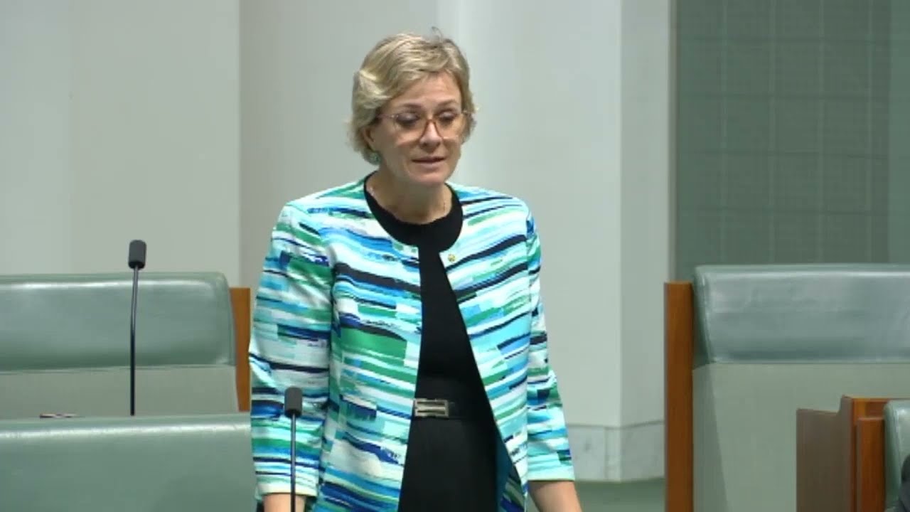 Zali Steggall supports motion on AFL drug accusations