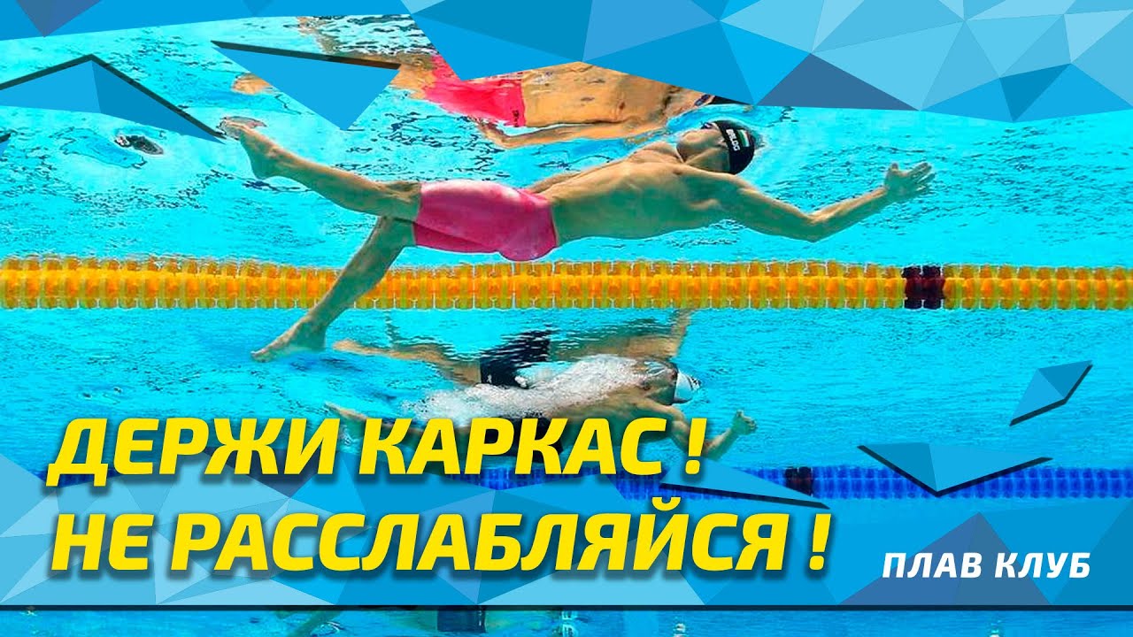 Каркас тела пловца.