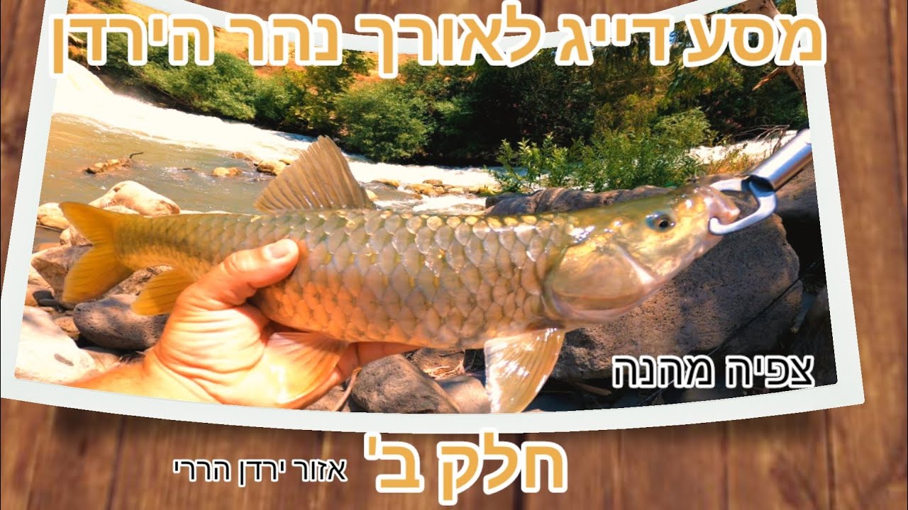 המסע לאורך נהר הירדן בחיפוש אחר הדגים חלק ב' (אזור אמצעו של הירדן הררי) | Fishing in the river