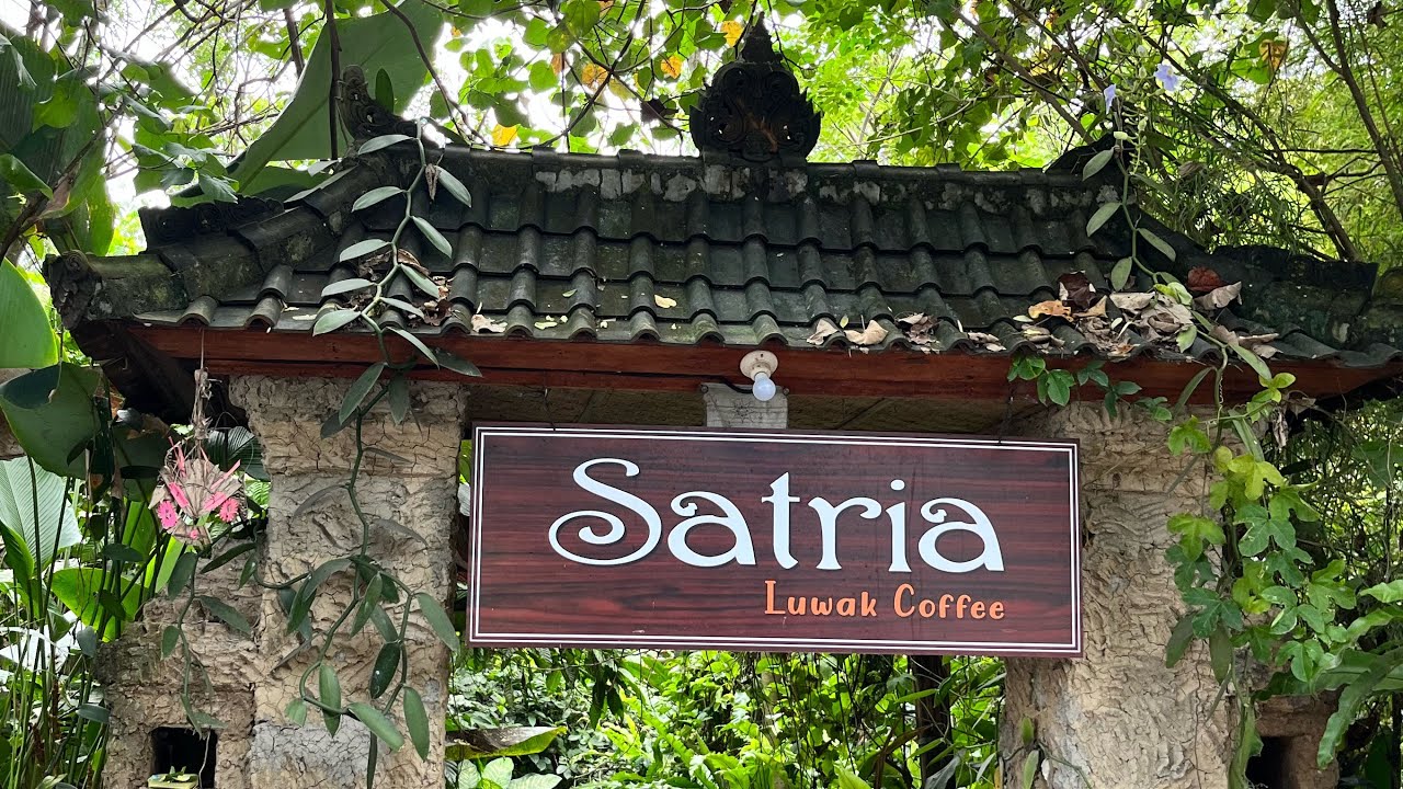 Exploring Satria Coffee Plantation in Ubud Bali ☕️ with out super guide Anik ✨