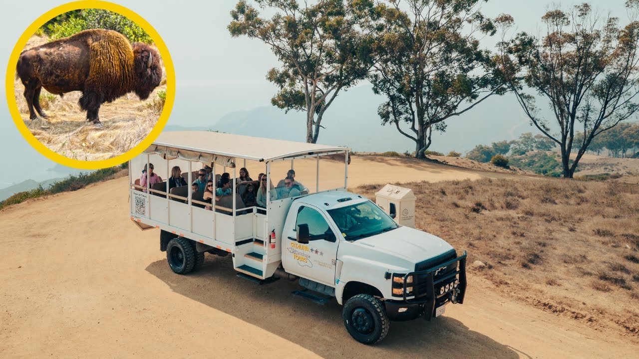 Catalina Adventure Tours | Glass Bottom Boat | Safari Jeep Interior Tours